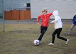 IMG_2257 (1024x683).jpg (79738 bytes)